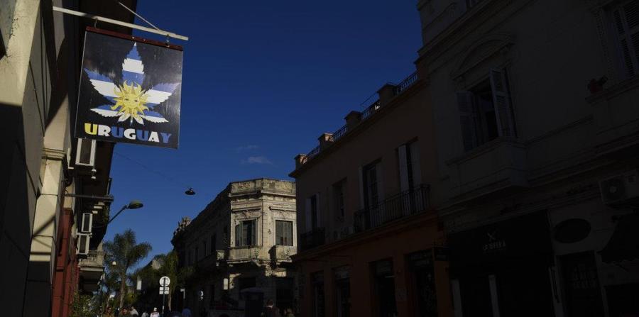 Cannabis en Uruguay (horizontal-x3)