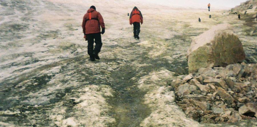 Los bancos de musgo están respondiendo al cambio climático en toda la Antártica. (horizontal-x3)
