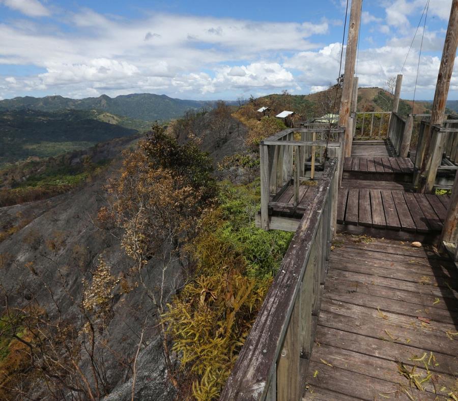 Reverdece el Bosque del Pueblo en Adjuntas El Nuevo Día