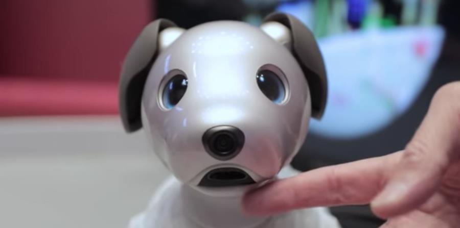 Aibo tendrá un precio aproximado de $3.000 dólares (horizontal-x3)