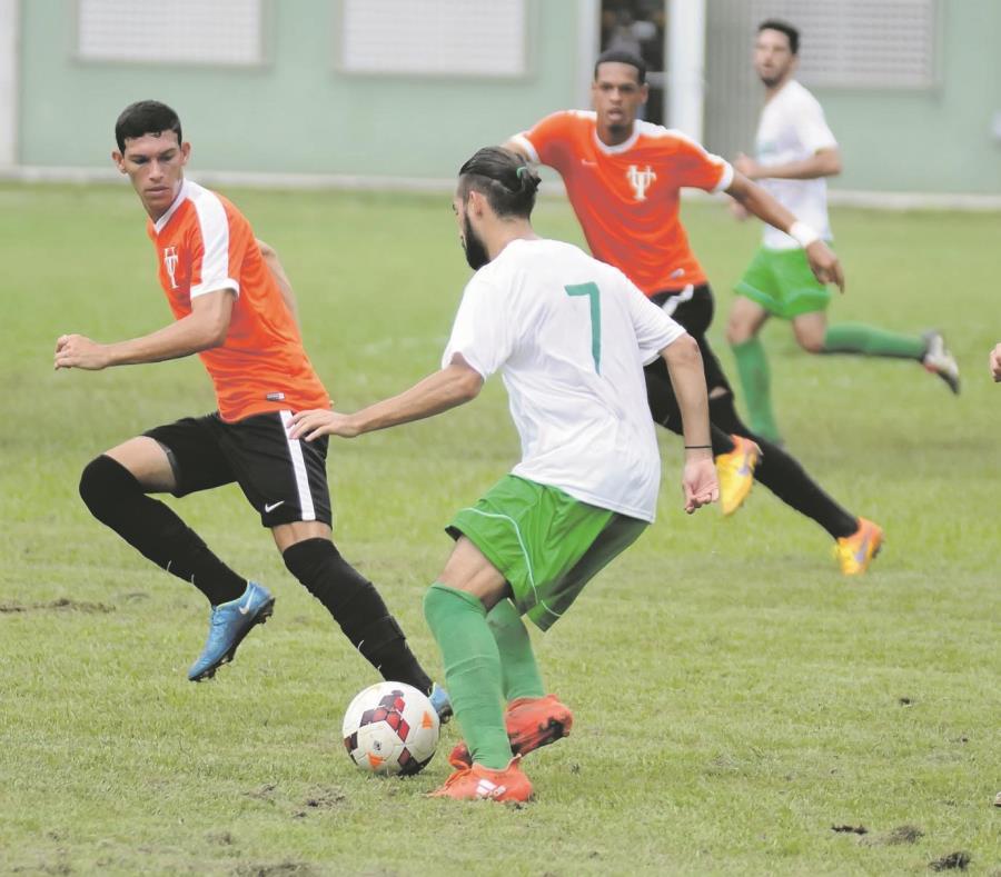 La acción deportiva interuniversitaria comienza hoy con el partido entre los Taínos de la Universidad del Turabo y los Lobos del recinto de Arecibo de la UPR. (Suministrada / Luis F. Minguela) (semisquare-x3)