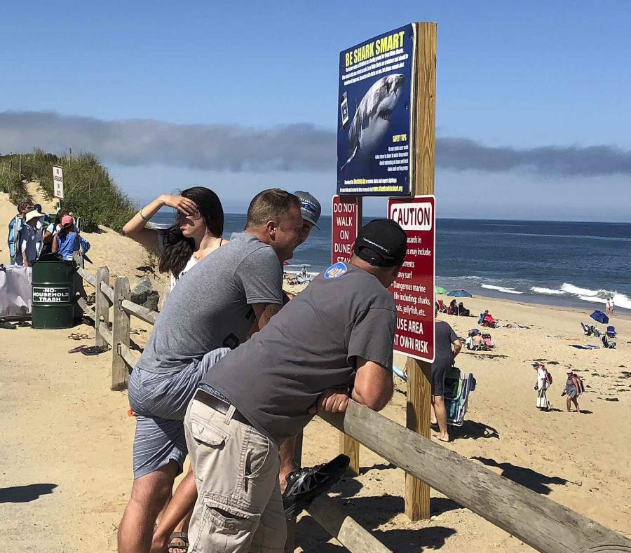 Un grupo de personas conversan enfrente de la playa de de Newcomb Hollow, en Wellfleet, Massachusetts, después de que se se reportó un ataque de tiburón en esta playa el sábado 15 de septiembre del 2018 (semisquare-x3)