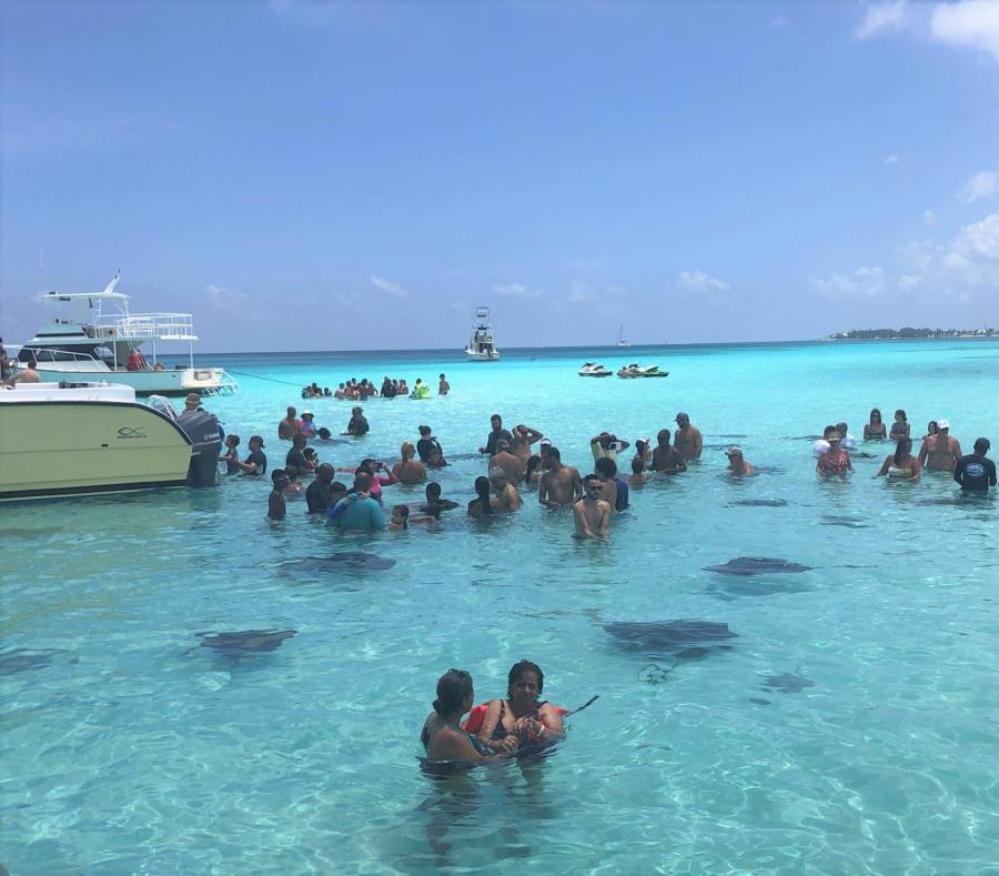 Visita a Gran Caimán, la “Ciudad de las Mantarrayas” El Nuevo Día
