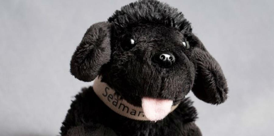 Seaman Jr, será enviado en conmemoración del sexagésimo aniversario de la NASA y los 50 años del Sistema Nacional de Senderos de Estados Unidos (horizontal-x3)