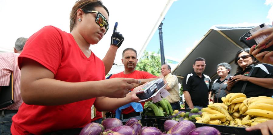Actualmente, solo el programa de comedores escolares del Departamento de Educación y el Mercado Familiar del Departamento de la Familia gestionan compras significativas al agro local a través de ADEA. (horizontal-x3)