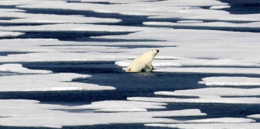 Entre 1992 y 2011, la Antártida perdió casi 84,000 millones de toneladas (76,000 millones de toneladas métricas) de hielo por año. (AP) (horizontal-x3)