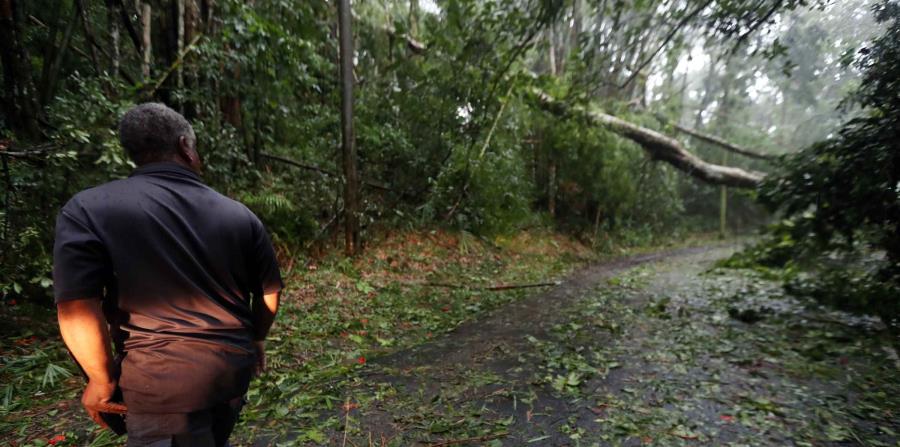 Brigadas municipales y familias crearon accesos en barrios de varios pueblos. (horizontal-x3)