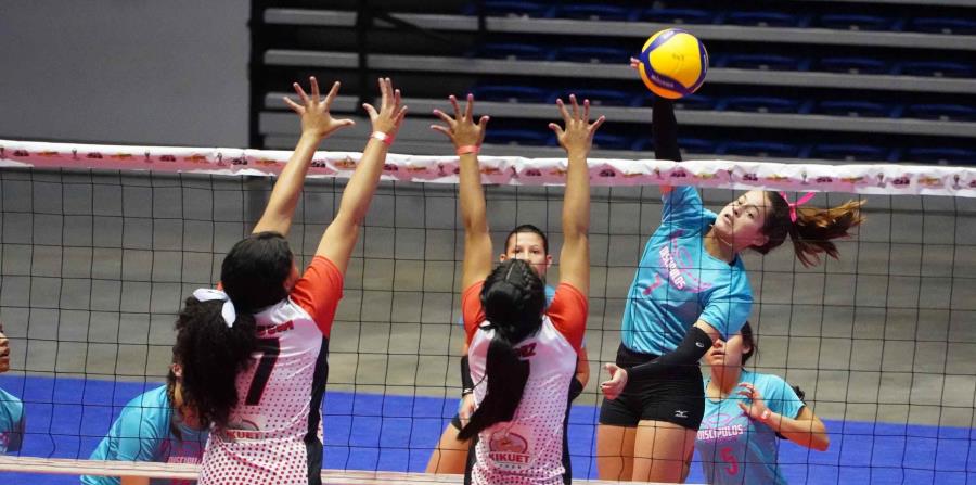 Discípulos de Cristo y San Ignacio se coronan en la Copa El Nuevo Día de voleibol escolar - El Nuevo Dia.com