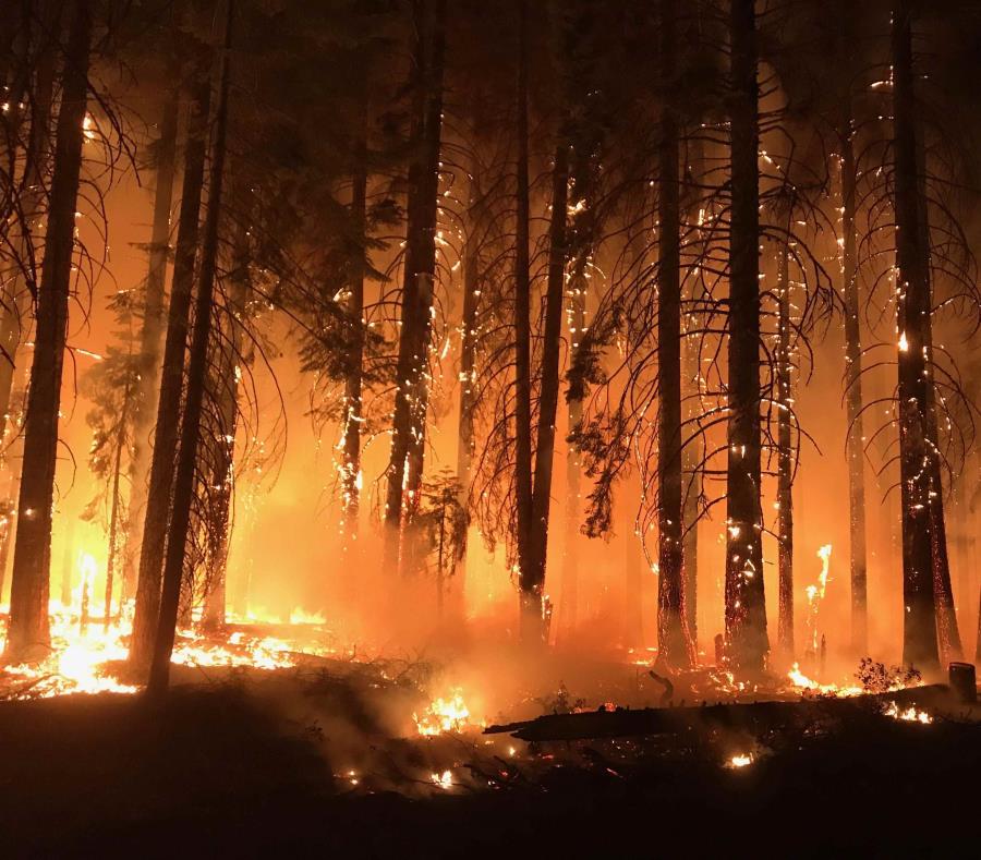 Fotografía cedida por el Servicio Forestal Estadounidense (USFS) y el Grupo de Coordinación Nacional de Incendios que muestra las llamas del incendio de Camp Fire, California. (AP) (semisquare-x3)