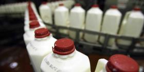 El futuro de la industria lechera yace en la diversificación