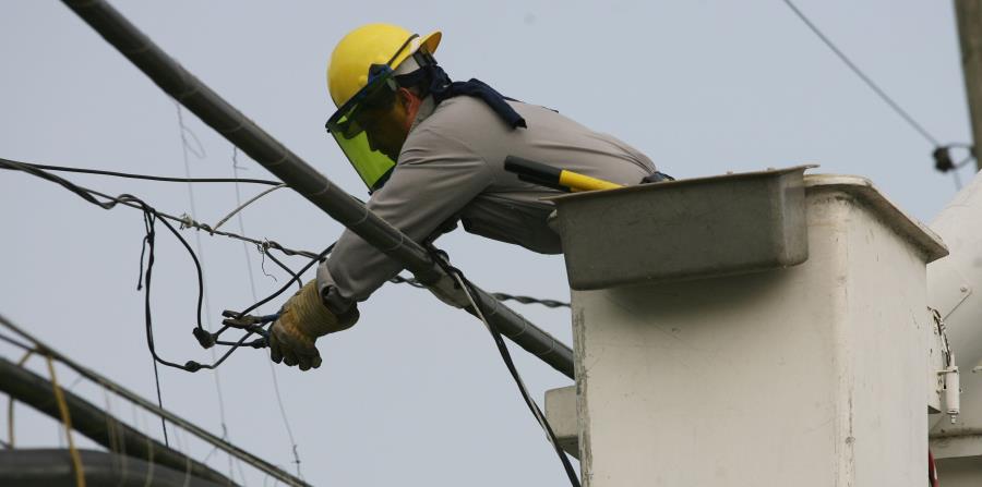 Según la AEE, de los 46 familiares reclutados, 41 seguían laborando hasta el pasado 3 de julio. (GFR Media) (horizontal-x3)