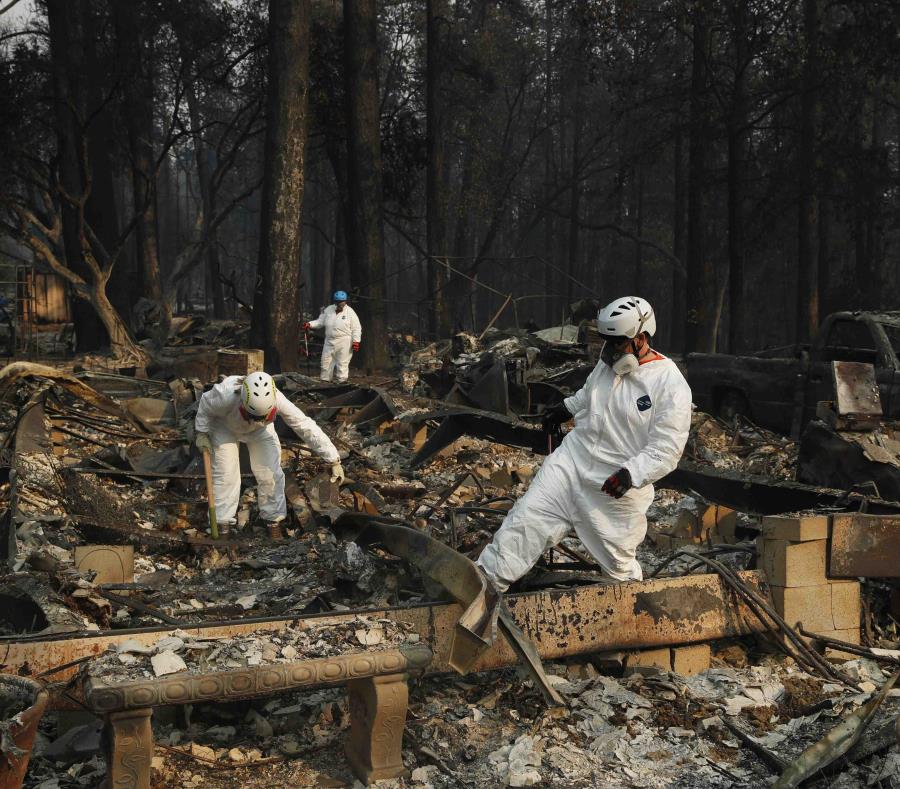 Personal de búsqueda y rescate buscan restos humanos en las ruinas de una estructura destruida por el incendio en Paradise, California. (AP) (semisquare-x3)