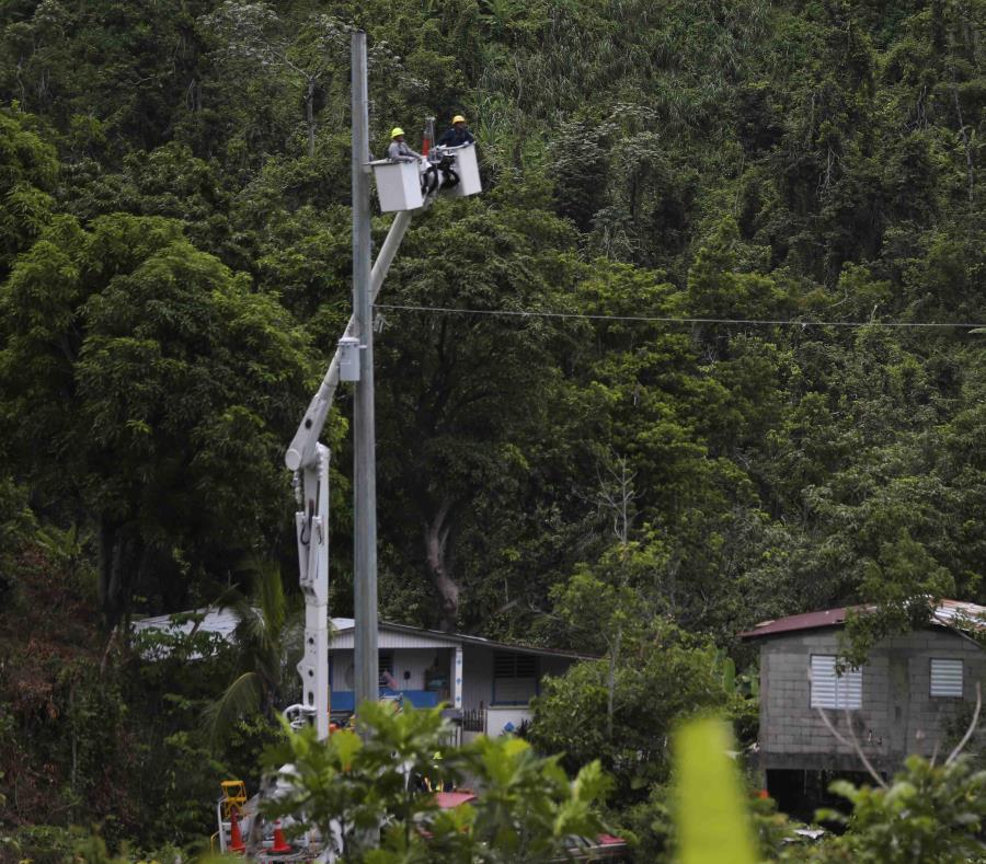 Unos empleados de la Autoridad de Energía Eléctrica colocan cables en un poste. (GFR Media) (semisquare-x3)