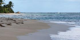 Urgen rehabilitar la reputación de Puerto Rico como destino