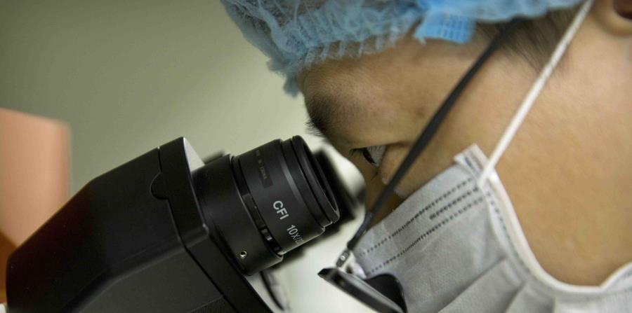 Image result for china modifica bebes geneticamente