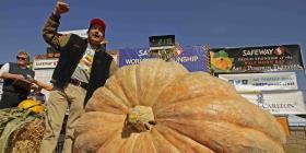 Calabaza de casi una tonelada gana concurso en California