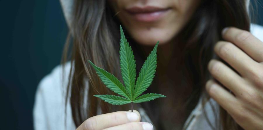 Actualmente solo 0.7% de la población en Puerto Rico tiene licencia de cannabis medicinal. (horizontal-x3)
