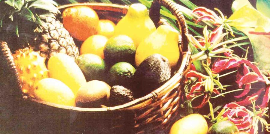 Frutas (horizontal-x3)