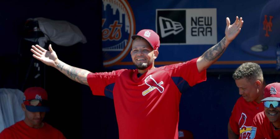 El receptor estelar de los Cardenales de San Luis Yadier Molina es uno de los veteranos boricuas activos en las Mayores. (AP) (horizontal-x3)