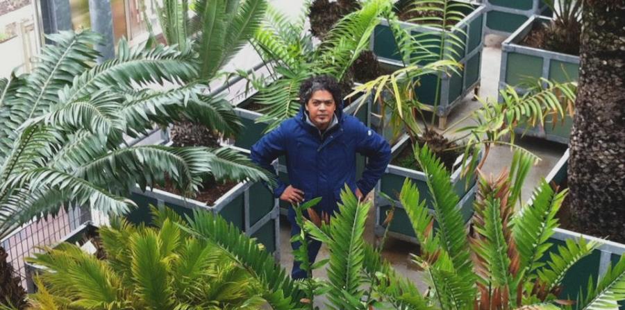 Tras la pista del alimento vegetal más antiguo del Caribe (horizontal-x3)