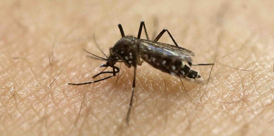 Cuba redujo en un 68% los casos de dengue en 2017 (horizontal-x3)