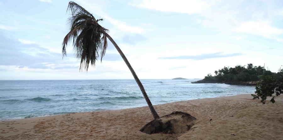El oleaje para hoy será de 5 a 8 pies en aguas del Atlántico (horizontal-x3)