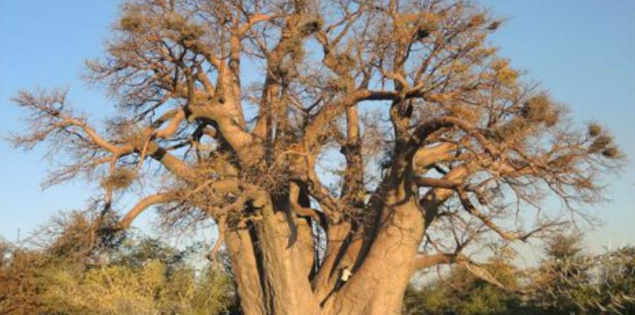 cambio climático en Africa (horizontal-x3)