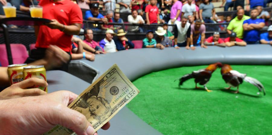 La comisionada residente Jenniffer González rechazó el proyecto, propuesto por la organización Humane Society. (GFR Media) (horizontal-x3)