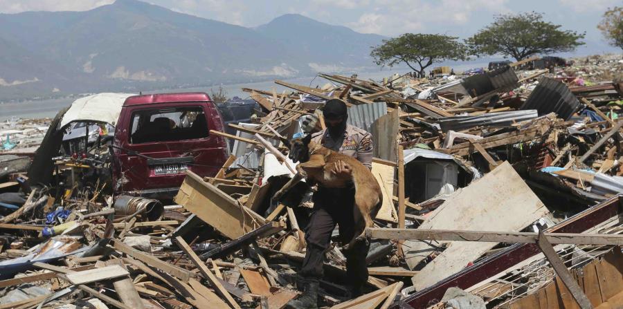 Un agente de policía carga con un perro rastreador de la unidad K9 durante la operación de búsqueda de víctimas del terremoto y tsunami en Palu, en la isla indonesia de Célebes. (AP) (horizontal-x3)