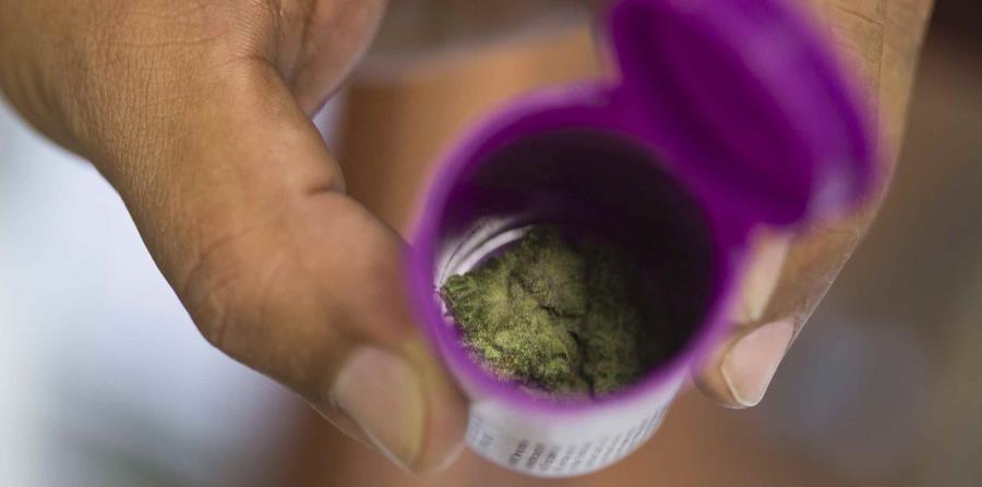 Salud anuncia un alza en emisión de tarjetas para pacientes de cannabis (horizontal-x3)