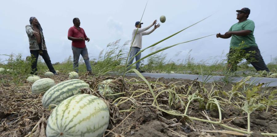 The agricultural sectors will suffer the most changes due to the Code of Incentives. (horizontal-x3)