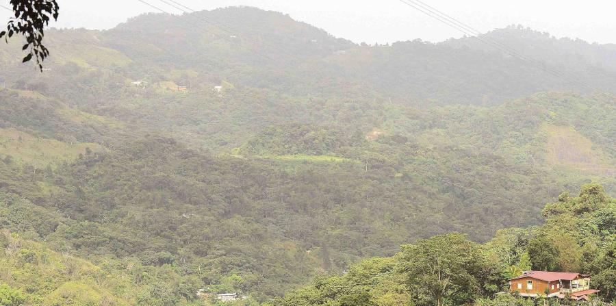 El Bosque Modelo cubre unas 390,000 cuerdas en 31 municipios e incorpora 19 reservas naturales. (horizontal-x3)