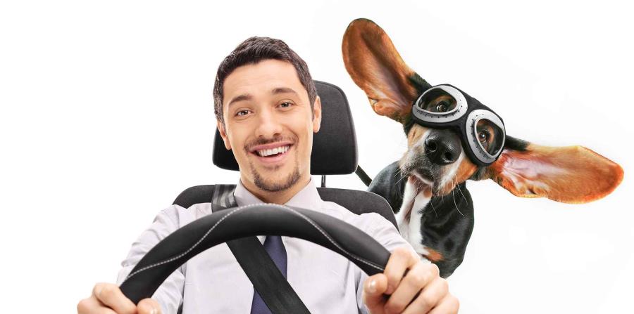 El lanzamiento de “AutoMaratón: Hazlo realidad”, que termina el 31 de octubre de 2017, contempla una plan de medios 360 que incluye prensa, radio, digital, redes sociales, vallas, televisión, promoción, entrevistas y eventos tácticos, entre otros. (horizontal-x3)