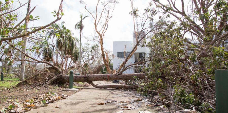 La presentación se enfocará en describir las condiciones en Puerto Rico antes de los huracanes Irma y María y los efectos de las tormentas en los sectores más vulnerables de la población. (horizontal-x3)