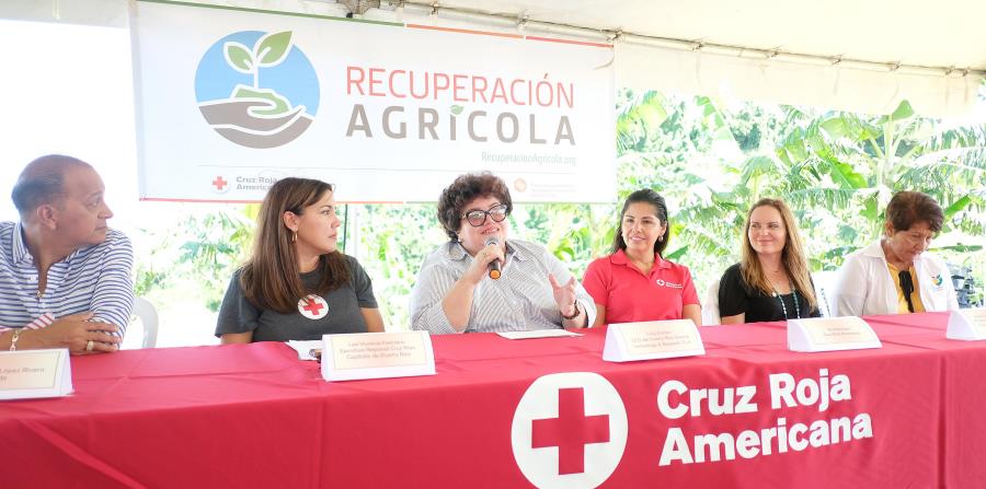 Desde la izquierda: Lee Vanessa Feliciano, ejecutiva regional de la Cruz Roja, Lucy Crespo, principal oficial del FCTI, Ana Montero, de la Cruz Roja Americana; Bárbara Rivera, directora de programa del FCTI; y Genoveva Lozada, Presidenta de la Asociación. (horizontal-x3)