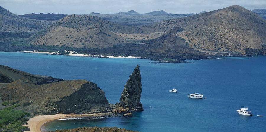 Fernandina, la isla más joven del archipiélago, alberga una fauna autóctona compuesta por iguanas terrestres y marinas, roedores endémicos, culebras, pingüinos y pinzones. (horizontal-x3)