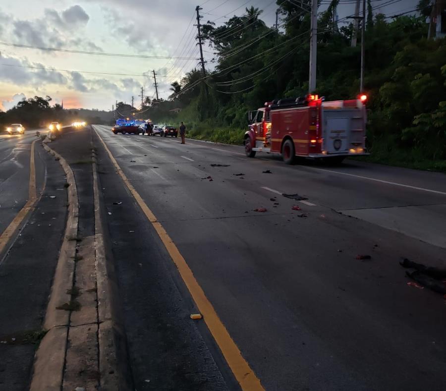 Imagen de la escena en la que una yegua murió atropellada en la carretera PR-3 en Luquillo. (Suministrada) (semisquare-x3)