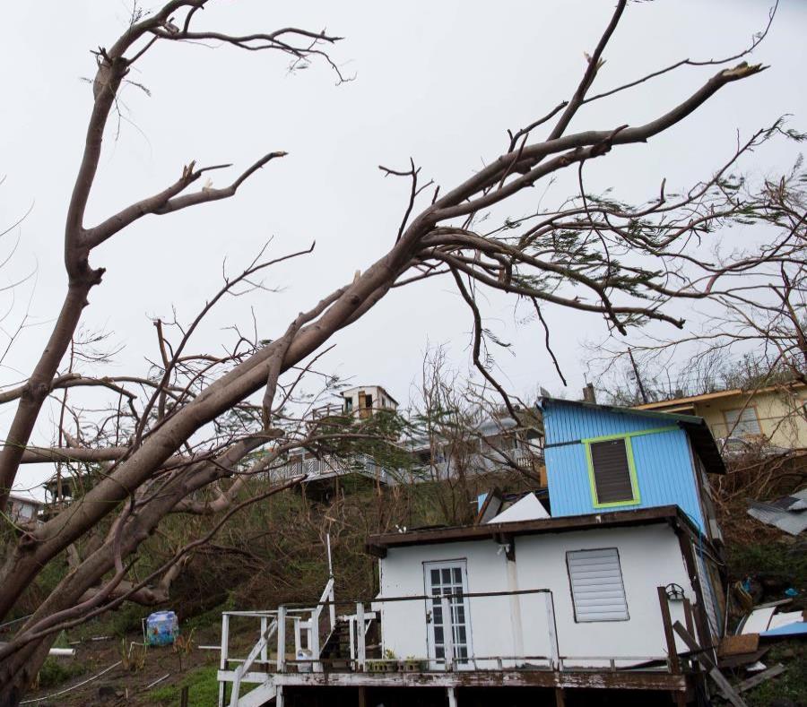 The Board certified a plan that contemplated insurers paying their clients in Puerto Rico almost $ 22 billion in claims. (semisquare-x3)