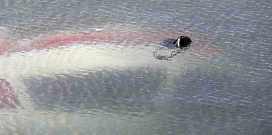 Avioneta cae en San Juan (horizontal-x3)