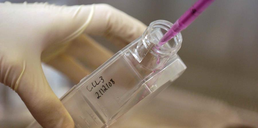 La terapia también ha mostrado ser efectiva contra tipos de cáncer que sufren menos mutaciones, como el cáncer del pulmón y de colon. (AP / Sara D. Davis) (horizontal-x3)