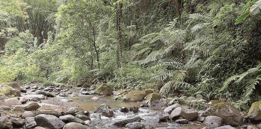 Imagen de un río en el cañón San Cristóbal. (GFR Media) (horizontal-x3)