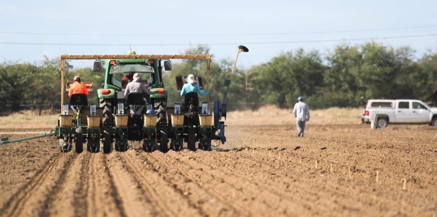 La empresa afirmó que la consolidación llevará a la creación de empleos en el segmento a largo plazo. (Suministrada) (horizontal-x3)
