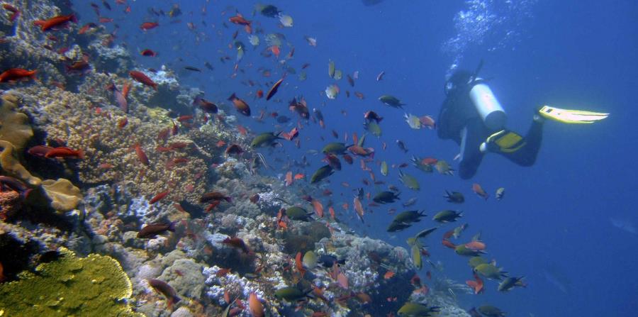 El 60 % de los océanos muestra signos del impacto del cambio climático (horizontal-x3)
