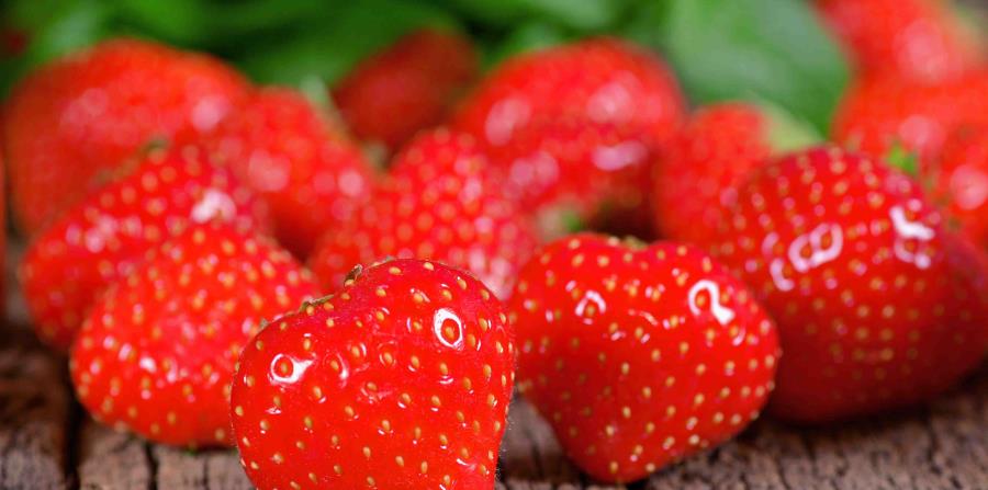 Fresas