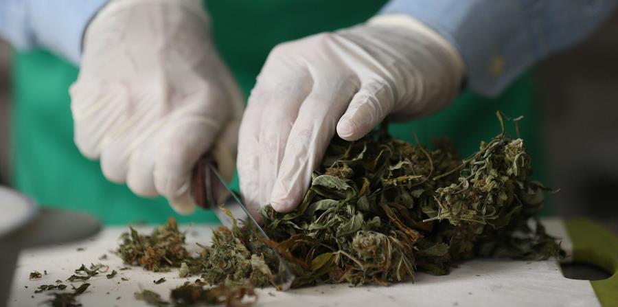 Según la madre del niño, el cannabis es la única sustancia que puede prevenir las convulsiones (horizontal-x3)