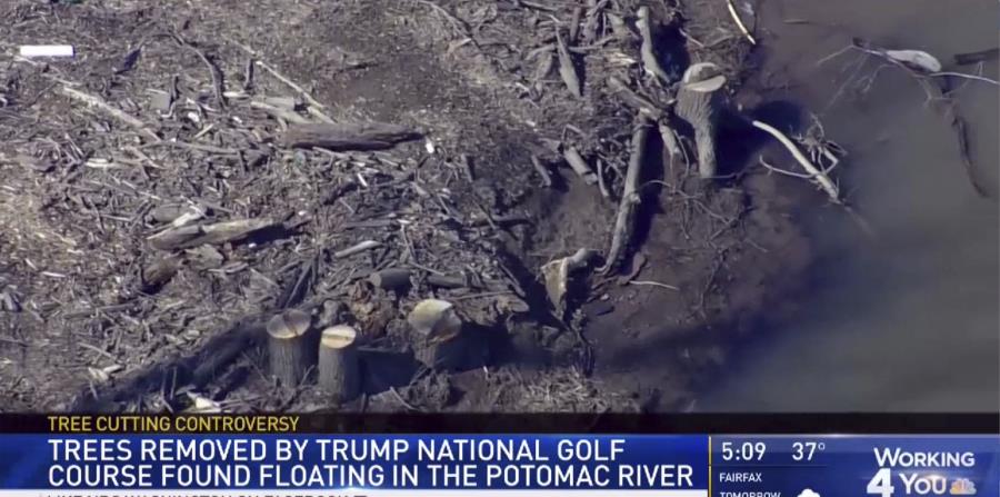 El grupo ambientalista Potomac Riverkeepers dijo que recibió quejas el mes pasado de que más árboles talados fueron arrojados al río. (WRC / NBC4 Washington vía AP) (horizontal-x3)