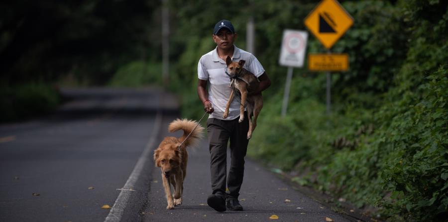 la organización HSI animó además a los internautas a subir a las redes sociales fotos con sus mascotas, en solidaridad con el sufrimiento de los animales en Yulin. (horizontal-x3)