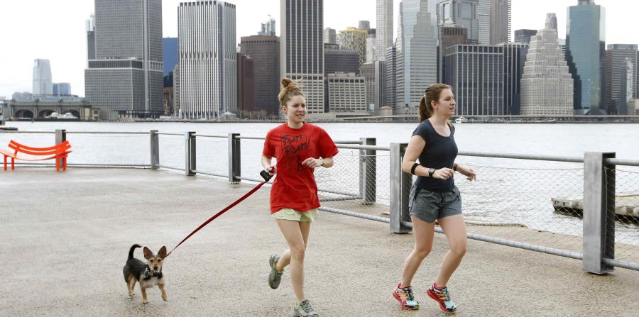 temperatura en nueva york