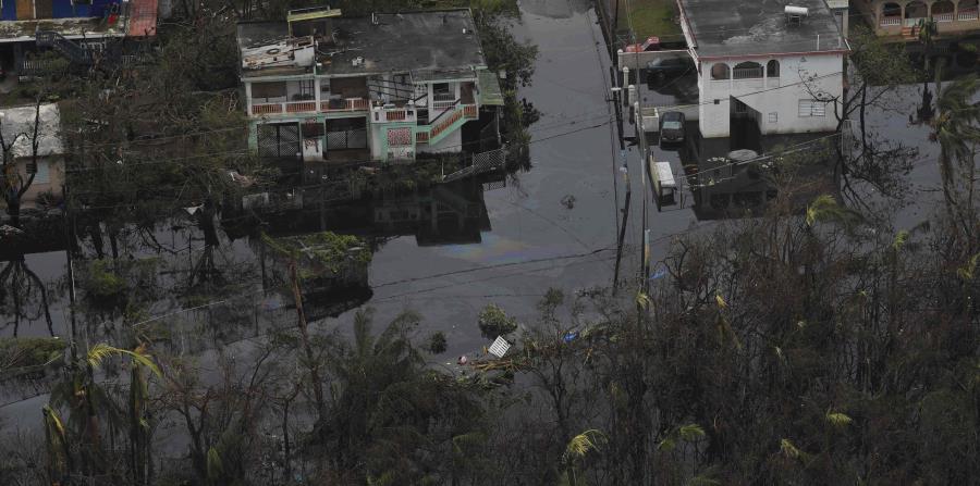 El área de Madianía Alta en Loíza después del paso del huracán María. (GFR Media) (horizontal-x3)