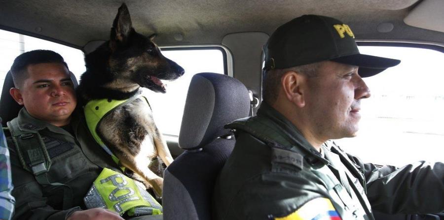 Cartel colombiano le pone precio a la cabeza de una perra policía (horizontal-x3)